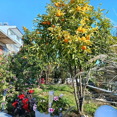 Sotiria Sea Side Luxury Apartment